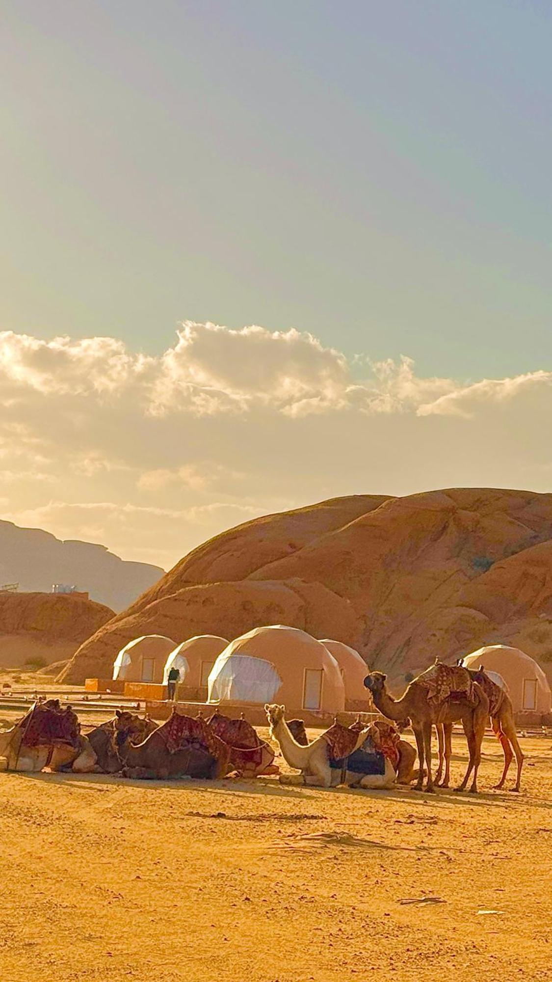 Wadi Rum Anwar Luxury Camp 외부 사진
